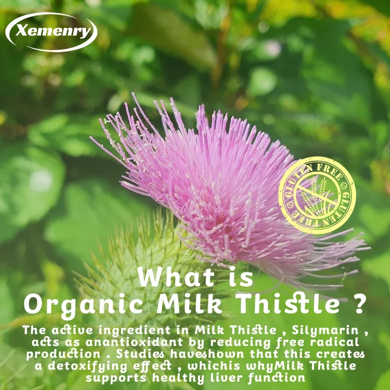 Milk Thistle Capsules 1000mg - - огляд і ціна Milk Thistle Silymarin