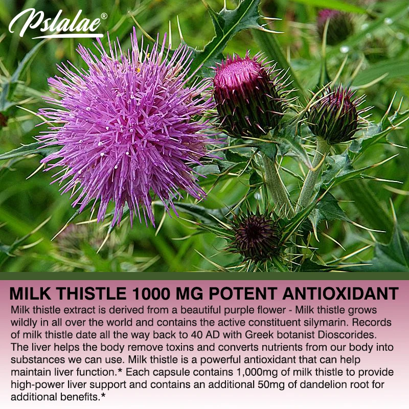 Natural Milk Thistle Supplemen - огляд і ціна Milk Thistle Silymarin
