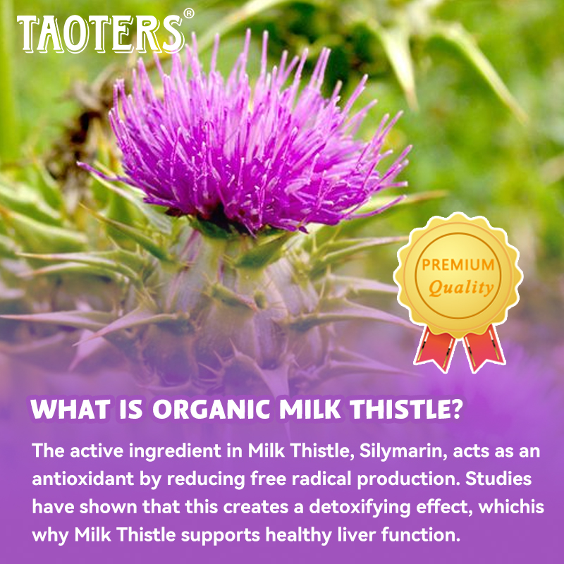 6X Organic Milk Thistle Extrac - огляд і ціна Milk Thistle Silymarin